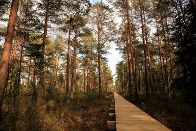 Szlak poznawczy Mūša Tyrelis w Parku Regionalnym Żagory, fot.madeinvilnius.lt