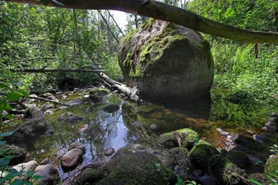 Ścieżka dydaktyczna potoku Jurkiškis  w Parku Regionalnym Asveja, fot.madeinvilnius.lt